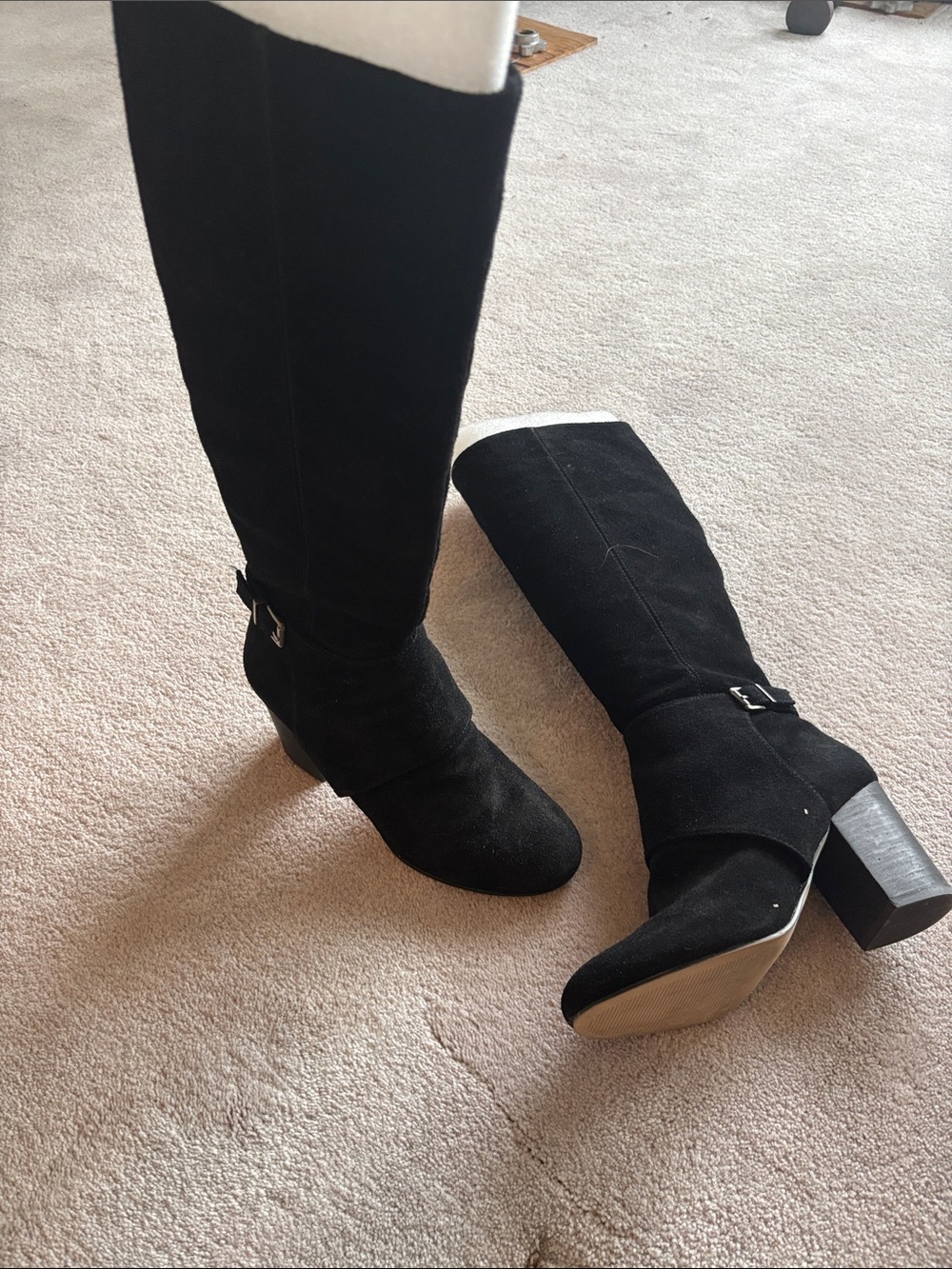 BCBGeneration Black Knee-High Suede Block Heel Boots with Buckle